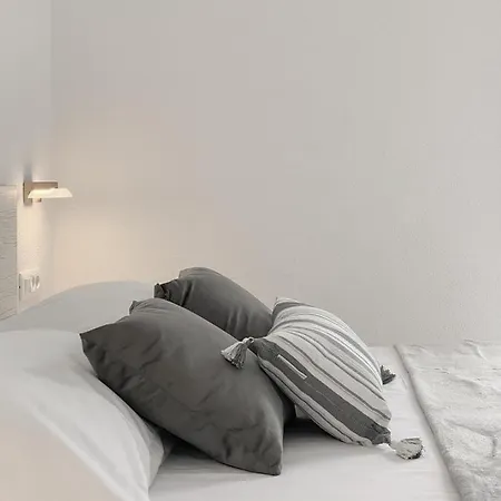 アパート Paladin *